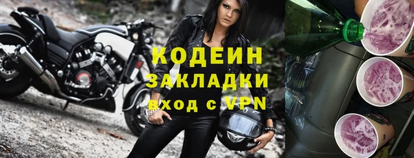 амф Корсаков