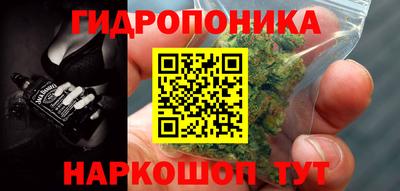 прущие грибы Балаково