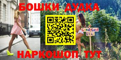 прущие грибы Балаково