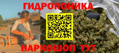 spice Балашиха