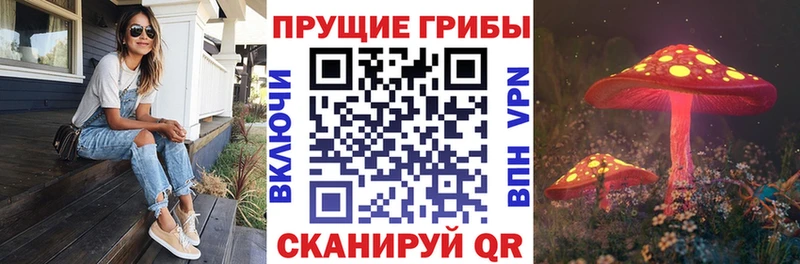 Псилоцибиновые грибы GOLDEN TEACHER  Ступино 
