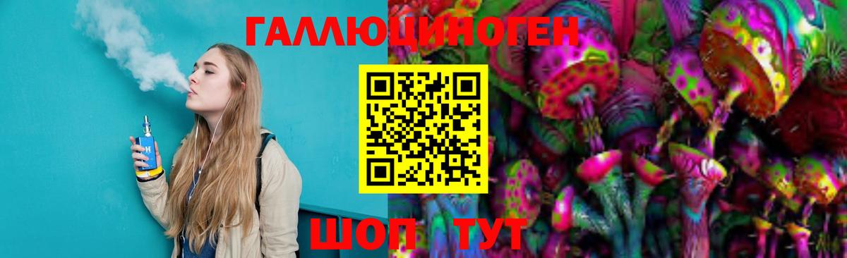 Псилоцибиновые грибы мицелий  Ступино  Галлюциногенные грибы Psilocybe 